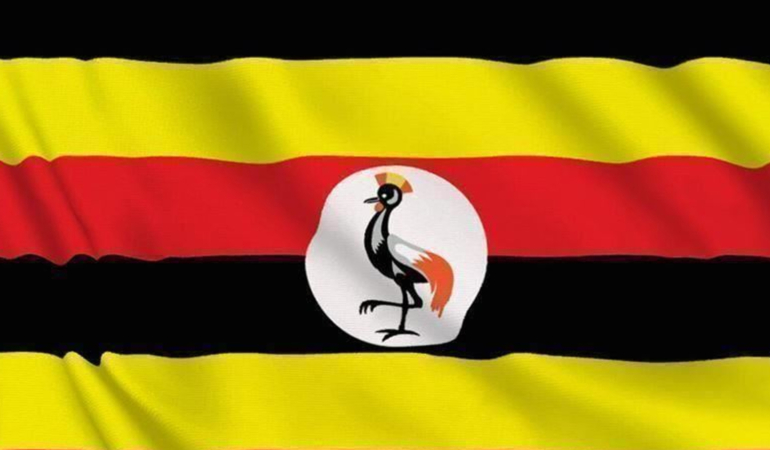 Uganda’da yakacak odun arayan çocuklar, 17 insan kafatası buldu