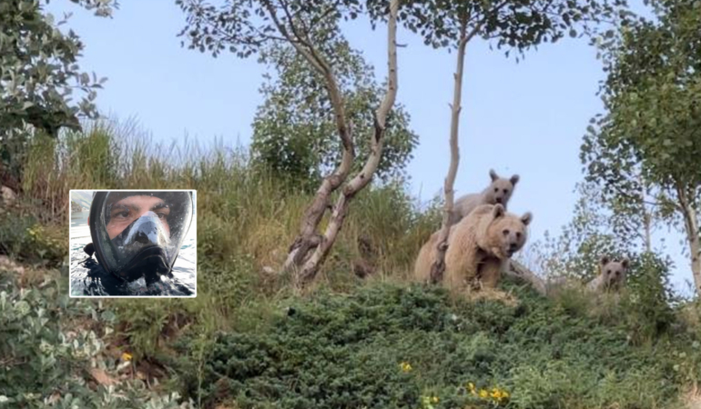 Uzun süre gözlediler! Dalış sırasında boz ayılarla karşılaştı