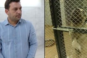 123jpg-lt0qYcKDoUmKX056OAMx0g.jpg
