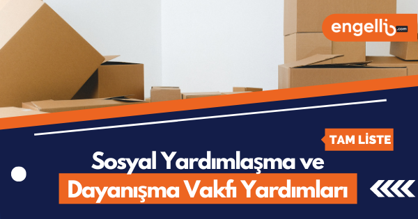 SYDV (Kapsamlı Rehber) 2024