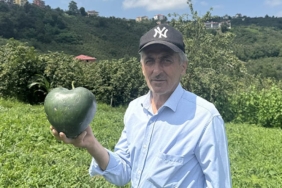 temelaajpeg-g-Tla8A9ZE25QrxV7_EcBg.jpeg