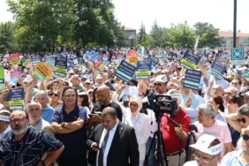 turmob1jpg-s7lrZRjiuUi7UUKgomo2aA.jpg