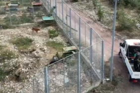 160jpg-emWDZ27SzkOyTFi57QIozA.jpg