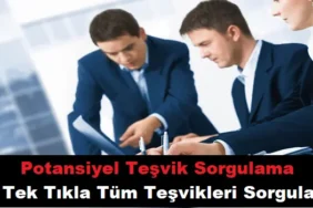 Potansiyel Teşvik Sorgulama & En Uygun Teşviki Bul