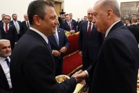 erdojpg-SLo2g6QZg0GNCJOoL-AgvA.jpg