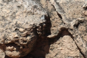 perre-antik-kentinin-kayip-hazineleri-40-yil-sonra-bulundu-1jpg-pydN0Q8L402vz_9RMdNyjg.jpg
