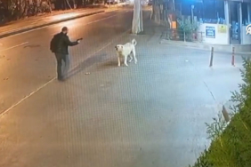 bahcelievlerde-kopege-silah-dogrultan-kisiyle-ilgili-yeni-gelisme-t2jg.jpg