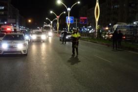 bariyerden-atlayip-karsiya-gecmeye-calisirken-canindan-oldu-x9ro.jpg