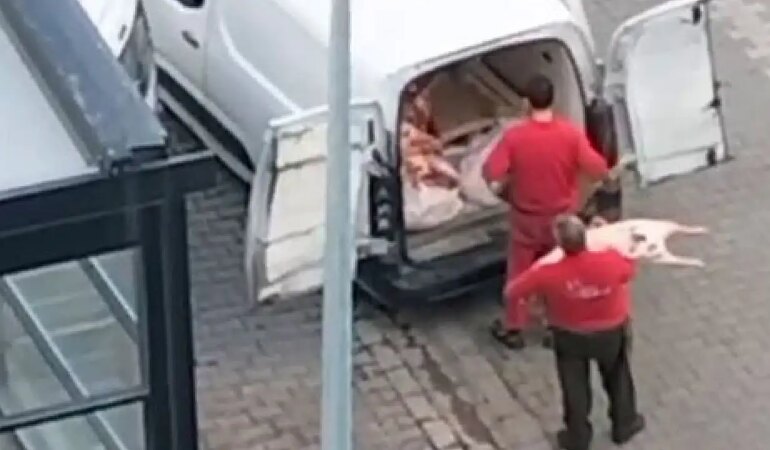 Hijyenden Eser Yok! Üstü Açık Etler Çıplak Elle Taşındı