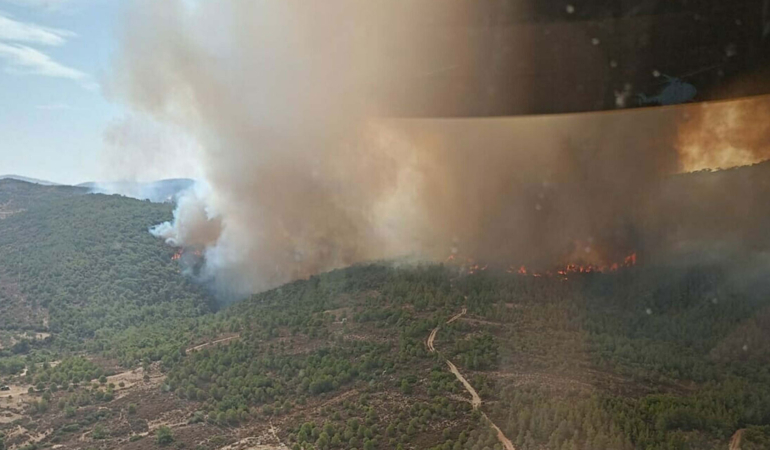 İzmir’de çöplükte çıkan yangın, ormana sıçradı!