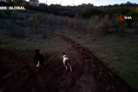kayip-hayvanlar-dron-ile-bulundu-irt7.jpg