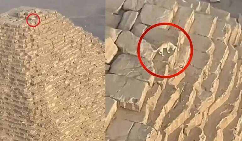 Yamaç Paraşütçüsü Giza Piramidi'nin tepesinde gördüklerine inanamadı