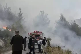 Bursa'da çıkan yangın Balıkesir Dursunbey'e de sıçradı