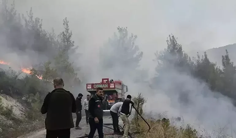 Bursa'da çıkan yangın Balıkesir Dursunbey'e de sıçradı