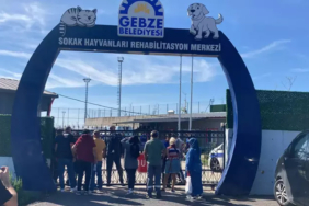 gebzede-hayvan-bakim-merkezinde-45-hayvanin-olumuyle-ilgili-otopsi-sonucu-belli-oldu-2itx.jpg