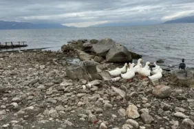 İznik Gölü çekildi 2 bin yıllık yapı ortaya çıktı