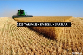 2925 Tarım Sigortası Emeklilik Şartları 2024
