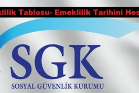 Emeklilik Tablosu 2024 & Güncel