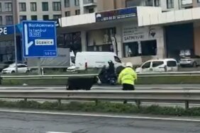 E-5 Karayoluna Atlayan Dana Trafiği Kitledi