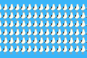 iste-akil-almaz-bir-test-daha-resimdeki-farkli-martiyi-sadece-dahiler-6-saniye-dolmadan-buluyor-p49x.png