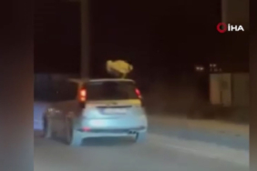 osmaniyede-akillara-durgunluk-veren-olay-trafikte-camdan-aracin-uzerine-cikip-dans-etti-haxa.jpg