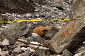 Rize sahilde patlamamış mühimmat bulundu