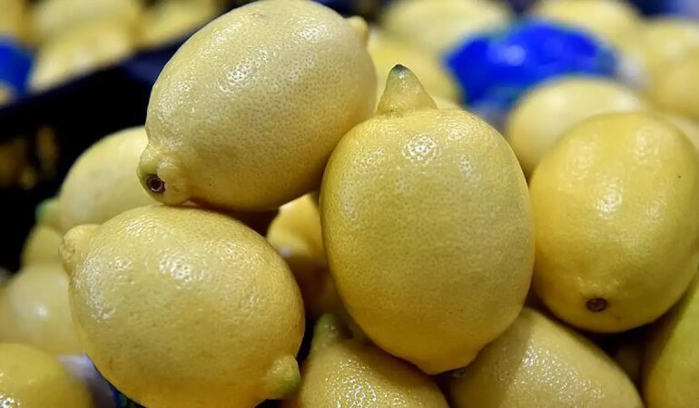 Tarımdaki Pestisit Krizi Büyüyor! Şimdi de Limonlar Türkiye’ye İade Edildi