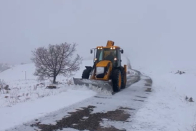 tuncelide-40-koy-yolu-ulasima-kapandi-cryh.jpg