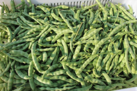 yesil-fasulyeyi-lezzetlendirme-tuyosu-1-kasik-tencereye-koyun-yetiyor-txlj.jpg