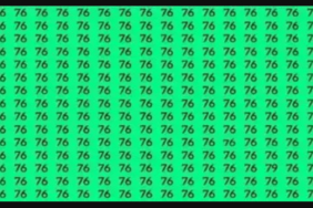 gercek-dahilere-bir-zeka-testi-resimdeki-farkli-sayiyi-6-saniyede-bulanlarin-iqsu-en-az-130-cikiyor.jpeg