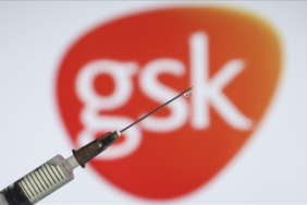 gsk-to-buy-us-biopharmaceutical-company-idrx-for-115b-142053-20250113.jpg