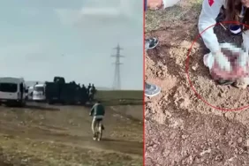 Poşet içerisinde yeni doğmuş kız bebek cesedi bulundu