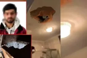 Tavanı delip daireye girdi, anne ve kızına saldırdı