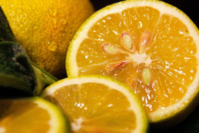 cope-atanlar-bin-pisman-oluyor-limon-cekirdegini-atmak-yerine-kullanmak-bakin-ne-kadar-saglikliymis.jpeg
