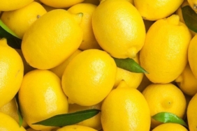 limonjpg-1PaxKpDWJEy1yXI0VmjvDQ.jpg