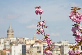 Türkiye bahara geçiş yapıyor: Hava sıcaklıkları artmaya devam ediyor!