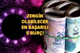 zengin-olabilecek-en-basarili-5-burc-kafalari-paraya-fena-calisiyor-lvdb.jpg
