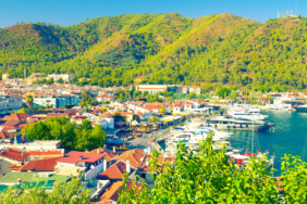 amasraapng-ZQ-sF-dLHkebzivTUpuRkA.png