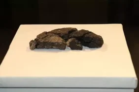 Eskişehir’de 5 bin yıllık ekmek bulundu
