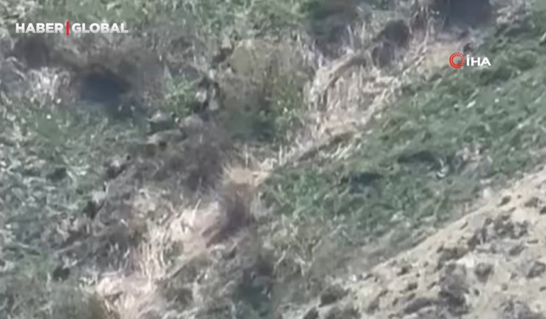 Hakkari’de sürü halde kayıtlara geçtiler
