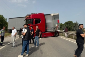 istanbul-bursa-karayolunda-trafige-ari-engeli-bjeb.jpg