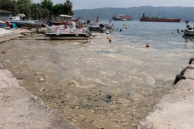 kocaelinde-tedirgin-eden-goruntuler-kiyidaki-kopuksu-tabaka-icin-calisma-ztcx.jpg