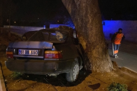 konyada-agaca-carpan-aracin-surucusu-agir-yaralandi-fhg3.jpg