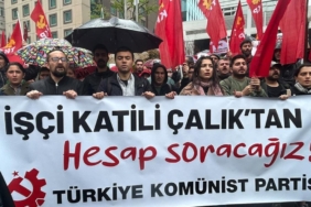 pkppjpg-OG26Uhlq4EiZXh0ek7-6EQ.jpg