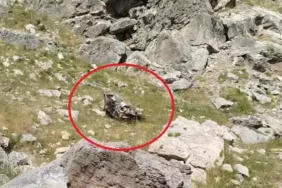 Bilirkişi Ekibinin Otomobili, Şarampole Yuvarlandı 5 Ölü