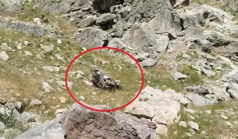Bilirkişi Ekibinin Otomobili, Şarampole Yuvarlandı 5 Ölü