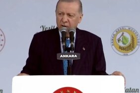 Cumhurbaşkanı Erdoğan'dan Orman Yangınlarına İlişkin Açıklama