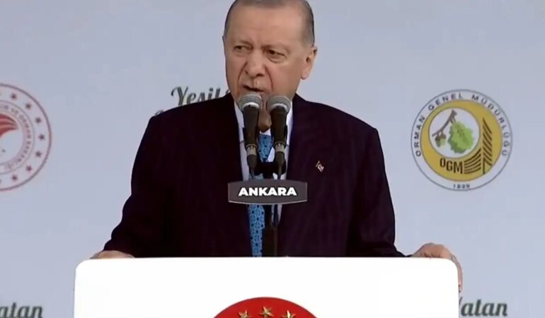 Cumhurbaşkanı Erdoğan’dan Orman Yangınlarına İlişkin Açıklama