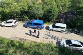 karabukteki-kopek-olumleriyle-ilgili-inceleme-baslatildi-ndch.jpg