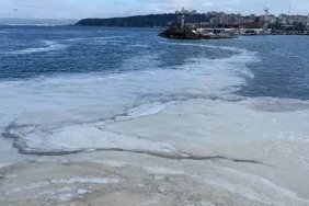 Marmara Denizi'nin Müsilaj Tehlikesi Sürüyor